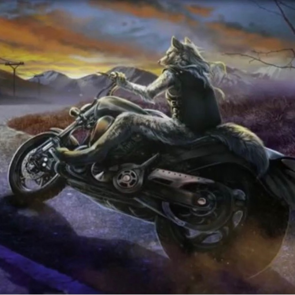 Meet your Posher, Matis